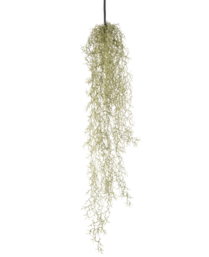 Eine künstliche Hängepflanze Grass 91 cm mit langen, nachhängenden hellgrünen Blättern hängt an einer schwarzen Kordel vor einem schlichten weißen Hintergrund.
