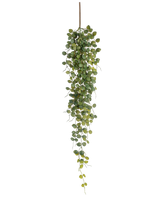 Die künstliche Hängepflanze Pumila 96 cm hat kleine runde grüne Blätter, die an einem braunen Stiel hängen und so einen lebensechten Hängeeffekt erzeugen. Vor einem weißen Hintergrund abgebildet, sorgt diese künstliche Pflanze ohne Pflege für mehr Grün.