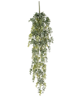 Die künstliche Hängepflanze Eukalyptus 60 cm hat realistische, kleine runde grüne Blätter, die herunterfallen und so einen lebensechten künstlichen Eukalyptus vor einem schlichten weißen Hintergrund bilden.