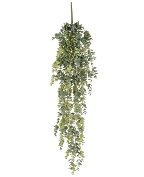 Die künstliche Hängepflanze Eukalyptus 60 cm hat realistische, kleine runde grüne Blätter, die herunterfallen und so einen lebensechten künstlichen Eukalyptus vor einem schlichten weißen Hintergrund bilden.