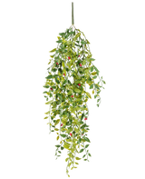 Die künstliche Hängepflanze Gardenie mit Beeren 81 cm ist eine künstliche Hängepflanze mit grünen Blättern und kleinen roten Beeren, dargestellt vor einem weißen Hintergrund.