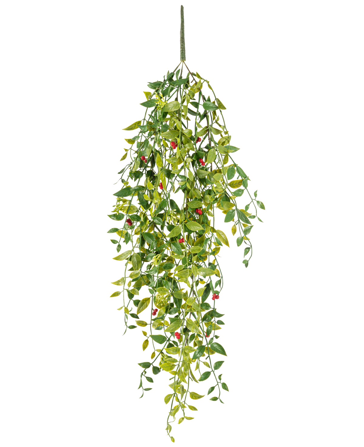 Die künstliche Hängepflanze Gardenie mit Beeren 81 cm ist eine künstliche Hängepflanze mit grünen Blättern und kleinen roten Beeren, dargestellt vor einem weißen Hintergrund.