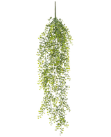 Die künstliche Hängepflanze Buxus 80 cm ist eine künstliche Hängepflanze mit langen, gewundenen grünen Ranken und kleinen runden Blättern vor weißem Hintergrund.