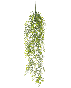 Die künstliche Hängepflanze Buxus 80 cm ist eine künstliche Hängepflanze mit langen, gewundenen grünen Ranken und kleinen runden Blättern vor weißem Hintergrund.