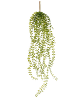Die künstliche Hängepflanze Jasmin 63 cm ist eine künstliche Hängepflanze mit langen, hängenden Stielen aus kleinen, runden grünen Blättern, die an einem einzelnen braunen Stiel vor einem weißen Hintergrund hängen.
