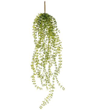 Die künstliche Hängepflanze Jasmin 63 cm ist eine künstliche Hängepflanze mit langen, hängenden Stielen aus kleinen, runden grünen Blättern, die an einem einzelnen braunen Stiel vor einem weißen Hintergrund hängen.