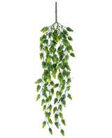Die künstliche Hängepflanze Hopfen UV 80 cm ist eine hängende Kunstpflanze mit kaskadierenden grünen Blättern an langen, schlanken Stielen, isoliert auf weißem Hintergrund.