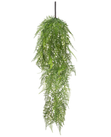 Die künstliche Hängepflanze Spargel 78 cm hat lange, zartgrüne Blätter, die herunterfallen und ein üppiges, naturgetreues Bild vor einem schlichten weißen Hintergrund erzeugen.