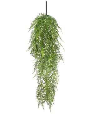 Die künstliche Hängepflanze Spargel 78 cm hat lange, zartgrüne Blätter, die herunterfallen und ein üppiges, naturgetreues Bild vor einem schlichten weißen Hintergrund erzeugen.