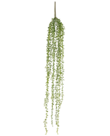 Die künstliche Hängepflanze Senecio 91 cm hat lange, hängende Stängel mit kleinen grünen Blättern, die eine elegante künstliche Hängepflanze vor einem schlichten weißen Hintergrund bilden.