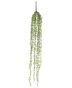 Die künstliche Hängepflanze Senecio 91 cm hat lange, hängende Stängel mit kleinen grünen Blättern, die eine elegante künstliche Hängepflanze vor einem schlichten weißen Hintergrund bilden.