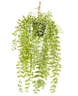 Die künstliche Hängepflanze Pumila im 55-cm-Topf hat lange, hängende Stängel mit kleinen, ovalen, grünen Blättern, in einem schwarzen Topf mit Seil vor weißem Hintergrund.