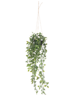 Die künstliche Hängepflanze Scindapsus im Topf 73 cm hat sattgrüne Blätter und lange, gewundene Ranken, die an einem dünnen Seil vor einem schlichten weißen Hintergrund aufgehängt sind.