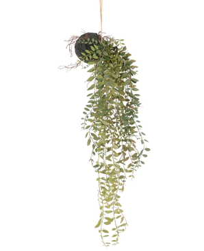 Die künstliche Hängepflanze Pumila Kugel 30 cm hat lange, gewundene grüne Ranken mit kleinen Blättern, die aus einer moosbedeckten Kugel hervorragen, die an einem Seil vor einem weißen Hintergrund aufgehängt ist.
