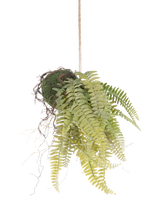Die künstliche Hängepflanze „Frosted Farn on Ball“ (76 cm) hat lebensechte grüne Farnblätter und freiliegende Wurzeln im Kokedama-Stil und hängt an einer braunen Kordel – perfekt, um jedem Raum dauerhaftes Grün zu verleihen.