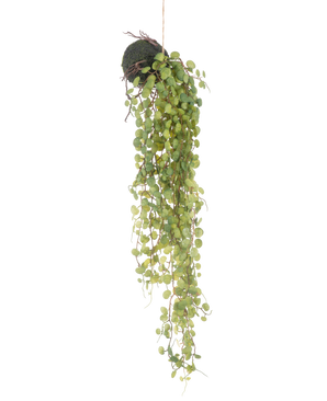 Die künstliche Hängepflanze Sukkulente auf Kugel 78 cm hat grüne runde Blätter, die aus einem kleinen, kugelförmigen, mit Moos bedeckten Pflanzgefäß hervorragen, perfekt als dekorativer Akzent vor einem schlichten weißen Hintergrund.