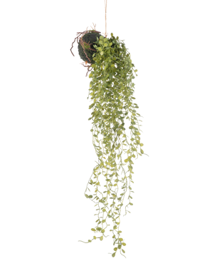 Die künstliche Hängepflanze Sukkulente Kugel 58 cm hat eine grüne Sukkulente mit kleinen runden Blättern, die an einer moosbedeckten Bodenkugel vor einem schlichten weißen Hintergrund hängt.