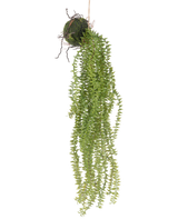 Die künstliche Hängepflanze Phlegmariurus Ball 55 cm verfügt über üppige, hängende grüne Blätter, die von einer moosbedeckten Kugel herabfallen und an einer Schnur aufgehängt sind, um vor jedem Hintergrund stilvoll zur Geltung zu kommen.