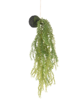 Die künstliche Hängepflanze Phlegmariurus Kugel 50 cm hat grüne Farnblätter auf einem moosbedeckten runden Sockel, der an einer Schnur vor einem weißen Hintergrund aufgehängt ist.