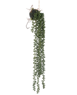 Die künstliche Hängepflanze Senecio Kugel 58 cm hat lange, gewundene grüne Ranken mit kleinen runden Blättern, die an einer Mooskugel vor weißem Hintergrund hängen.