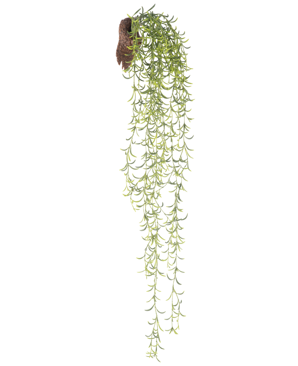 Die künstliche Hängepflanze Senecio 86 cm hat lange, grüne Sukkulentenstiele mit kleinen, schmalen Blättern, die aus einem braunen Wurzelballen hervorgehen, vor einem weißen Hintergrund.