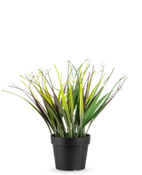 Die künstliche Graspflanze im Topf UV 26 cm hat lange grüne und violette Blätter mit kleinen weißen Blüten, die in einem einfachen schwarzen Topf angeordnet sind und vor einem weißen Hintergrund zur Geltung kommen.