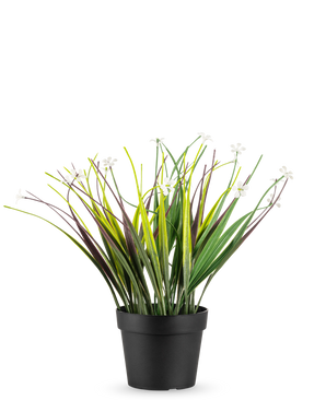 Die künstliche Graspflanze im Topf UV 26 cm hat lange grüne und violette Blätter mit kleinen weißen Blüten, die in einem einfachen schwarzen Topf angeordnet sind und vor einem weißen Hintergrund zur Geltung kommen.