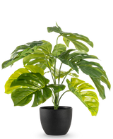 Die künstliche Monstera 55 cm im schwarzen Dekotopf hat große, glänzende, gespaltene grüne Blätter in einem schwarzen Dekotopf vor einem schlichten weißen Hintergrund.