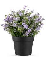 Die Kunstpflanze Buxus lila UV 22 cm hat einen schwarzen Blumentopf mit einer üppigen Kunstpflanze mit kleinen hellvioletten Blüten und grünen Blättern vor einem schlichten weißen Hintergrund.
