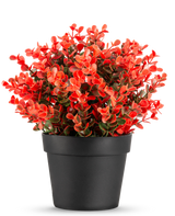 Die Kunstpflanze Buxus rot im Topf UV 19 cm ist ein kompakter schwarzer Blumentopf mit einer üppigen Mischung aus roten und grünen Kunstblättern vor einem schlichten weißen Hintergrund.