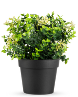 Die Kunstpflanze Eukalyptus-Mix UV 22 cm hat hellgrüne Blätter und kleine weiße Blüten in einem schlichten schwarzen Topf vor einem weißen Hintergrund.