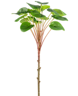 Vor einem schlichten weißen Hintergrund ist eine künstliche Pilea-Pfannkuchenpflanze 50 cm mit einem schlanken braunen Stiel, langen rötlichen Stielen und großen runden grünen Blättern abgebildet.