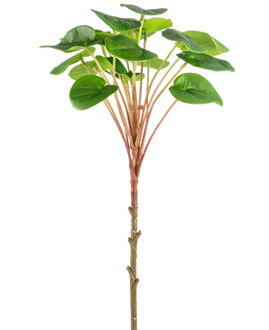Vor einem schlichten weißen Hintergrund ist eine künstliche Pilea-Pfannkuchenpflanze 50 cm mit einem schlanken braunen Stiel, langen rötlichen Stielen und großen runden grünen Blättern abgebildet.