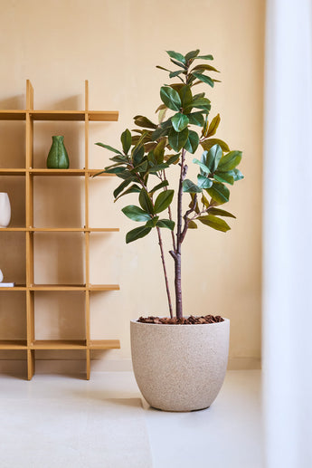 Der künstliche Yulania-Baum 180 cm mit großen grünen Blättern steht auf einem hellen Boden neben einem Holzregal mit einer grünen Vase und einem weißen Gegenstand an einer beigen Wand in einem modernen, minimalistischen Raum.