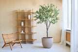Ein minimalistischer Wohnraum ist mit einem Holzstuhl, dem künstlichen Olivenbaum 200 cm als lebensechte Topfpflanze und einem Holzregal mit drei weißen Vasen ausgestattet. Sonnenlicht strömt durch weiße Vorhänge vor einem großen Fenster.