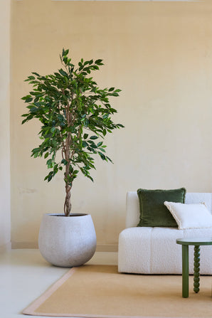 Eine Kunstpflanze Ficus Green 180 cm in einem dekorativen Topf steht neben einem weißen Polstersofa mit grünen und weißen Kissen und einem kleinen grünen Tisch, in einem minimalistischen Wohnzimmer mit neutralen Wänden und einem beigen Teppich.