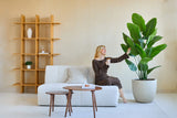 Eine Frau in einem braunen Kleid sitzt auf einem weißen Sofa, lächelt und hält einen Drink in der Hand, während sie die Kunstpflanze Strelitzia Real Touch Deluxe 180 cm in einem modernen, minimalistischen Wohnzimmer mit Holzregalen und einem Couchtisch berührt.