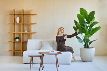 Eine Frau in einem braunen Kleid sitzt auf einem weißen Sofa, lächelt und hält einen Drink in der Hand, während sie die Kunstpflanze Strelitzia Real Touch Deluxe 180 cm in einem modernen, minimalistischen Wohnzimmer mit Holzregalen und einem Couchtisch berührt.