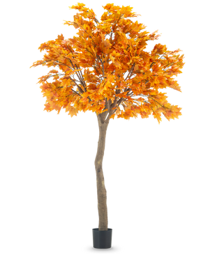De Kunstboom Esdoorn 280 cm is een hoge kunst esdoorn met levendige oranje herfstbladeren in een zwarte pot, geïsoleerd op een witte achtergrond.