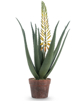 Die künstliche Aloe-Pflanze mit Blüte 66 cm ist eine künstliche Aloe Vera in einem Topf mit langen, dicken grünen Blättern und einem langen gelben Blütenzweig, isoliert auf weißem Hintergrund.