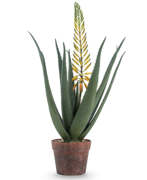 Die künstliche Aloe-Pflanze mit Blüte 66 cm ist eine künstliche Aloe Vera in einem Topf mit langen, dicken grünen Blättern und einem langen gelben Blütenzweig, isoliert auf weißem Hintergrund.