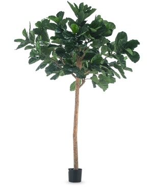 De Kunstboom Tabaksplant 260 cm is een hoge kunstplant met weelderige groene bladeren en een slanke bruine stam, in een compacte zwarte pot en tegen een effen witte achtergrond.