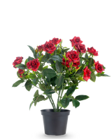 Eine künstliche Terrassenrose 35 cm in Rot/Schwarz zeigt leuchtend rote Kunstrosen mit sattgrünen Blättern in einem schwarzen Topf vor einem schlichten weißen Hintergrund.