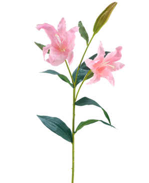 Die künstliche Blumenlilie Real Touch Pink 95 cm hat einen einzelnen grünen Stiel mit zwei blühenden rosa Lilien und einer geschlossenen Knospe, umgeben von langen, spitzen grünen Blättern, vor einem weißen Hintergrund.