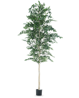 Der künstliche Berke-Baum 300 cm ist ein Baum mit Blättern darauf.