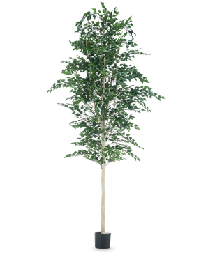 De Kunst Berkeboom 300 cm is een boom met bladeren eraan.