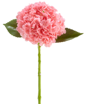 Die künstliche Blume Charlotte Hydrangea Real Touch dunkelrosa ist eine künstliche Hortensienblüte von 55 cm Länge mit einer runden Gruppe dunkelrosa Blütenblätter und grünen Blättern auf einem langen Stiel, isoliert auf weißem Hintergrund.