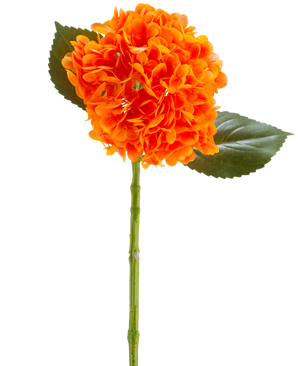 Die künstliche Blume Charlotte Hydrangea Real Touch orange 55 cm hat eine leuchtend orangefarbene Hortensienblüte mit Blütenblättern, einem grünen Stiel und zwei großen grünen Blättern vor einem weißen Hintergrund.