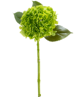 Die künstliche Blume Charlotte Hydrangea Real Touch dunkelgrün 55 cm besteht aus einer grünen Hortensienblüte mit gebündelten Blütenblättern, drei glänzenden Blättern und einem langen Stiel, alle dargestellt vor einem weißen Hintergrund.