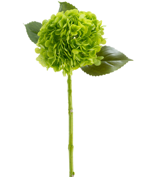 Die künstliche Blume Charlotte Hydrangea Real Touch dunkelgrün 55 cm besteht aus einer grünen Hortensienblüte mit gebündelten Blütenblättern, drei glänzenden Blättern und einem langen Stiel, alle dargestellt vor einem weißen Hintergrund.